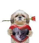 Andachtsbild von ❤️Guten Morgen❤️❤️❤️