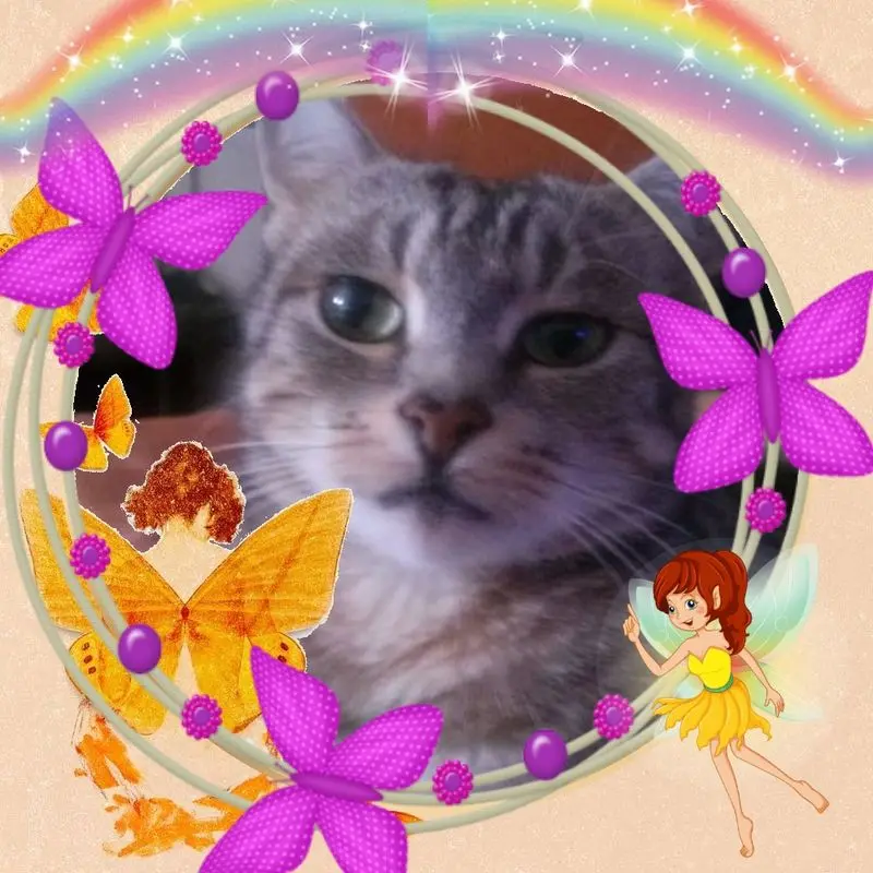 Andachtsbild von Fur Katzilein❤️