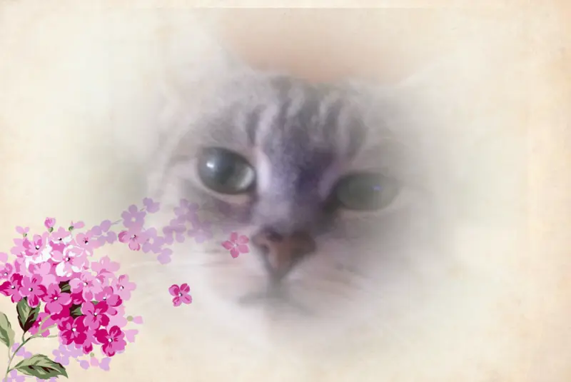 Andachtsbild von Patricia 