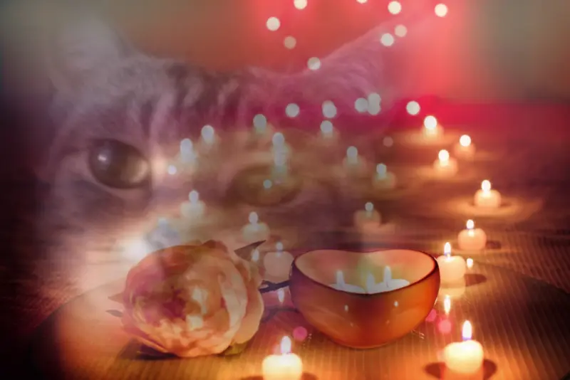 Andachtsbild von Sternchenpost ⭐