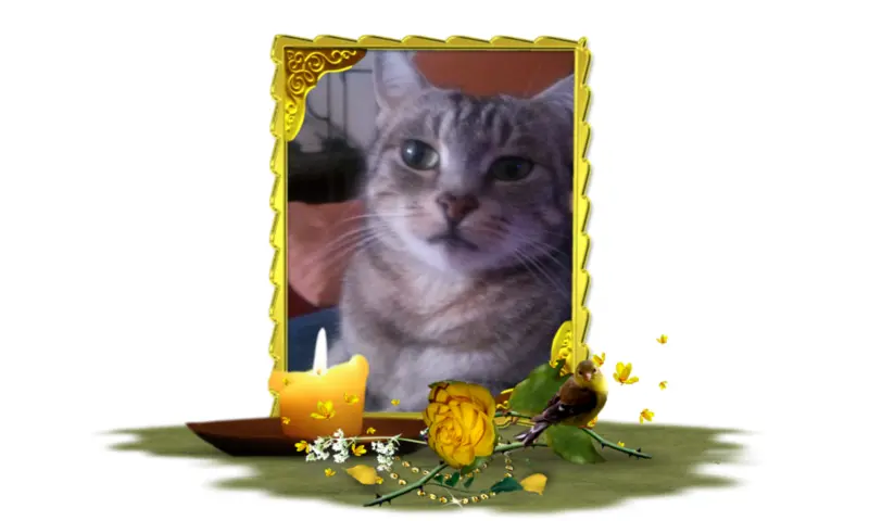 Andachtsbild von Patricia 