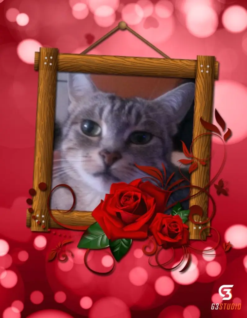 Andachtsbild von Sternchenpost ⭐