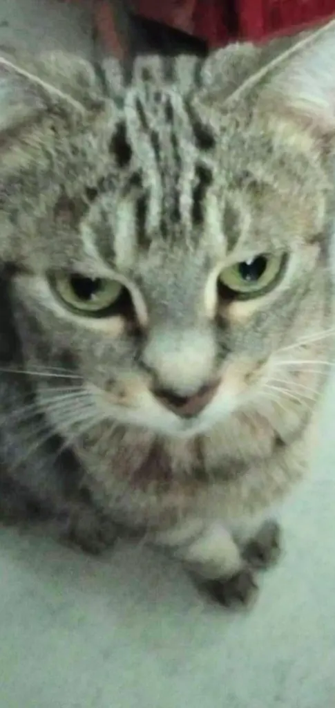 Andachtsbild von In Liebe ❤️❤️❤️