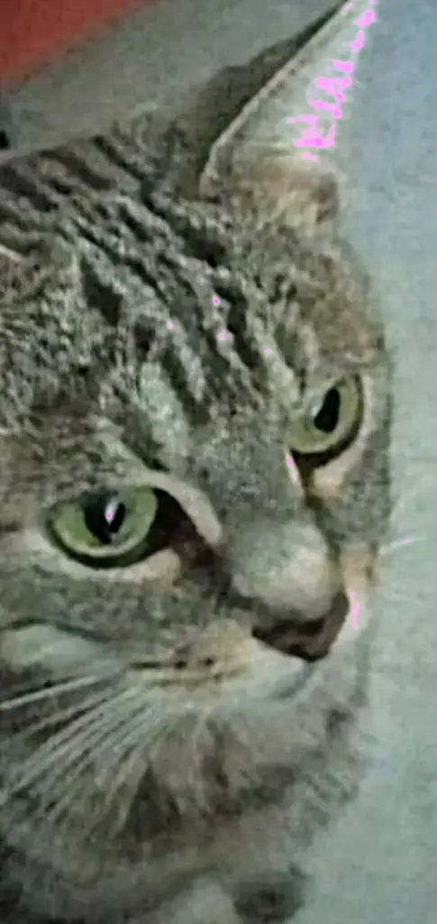 Andachtsbild von In Liebe ❤️❤️❤️