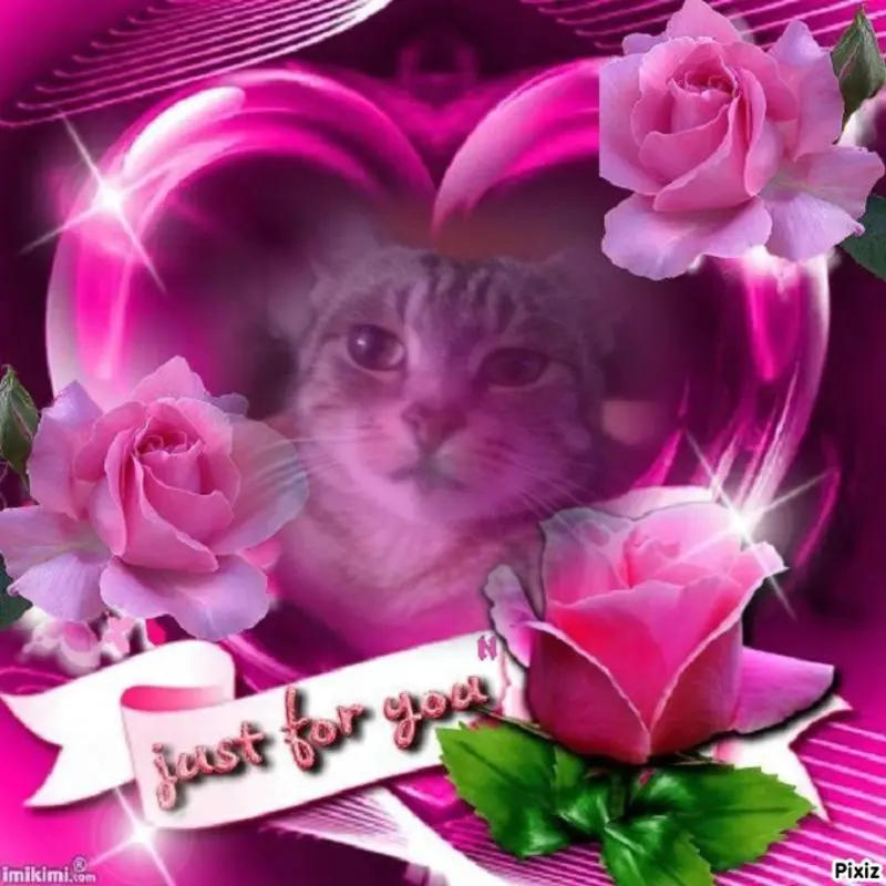 Andachtsbild von Patricia mit Bunny 