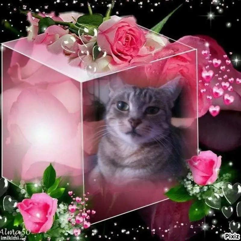 Andachtsbild von Sternchenpost ⭐