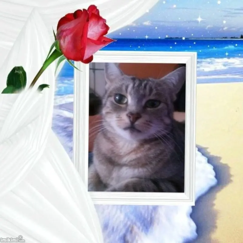 Andachtsbild von ❤️❤️❤️❤️❤️❤️❤️❤️❤️❤️❤️❤️❤️❤️