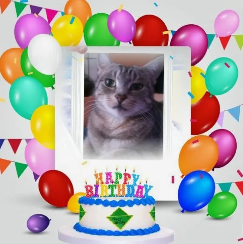 Andachtsbild von 14. Geburtstag❤️❤️❤️❤️❤️❤️❤️❤️❤️❤️❤️❤️❤️❤️