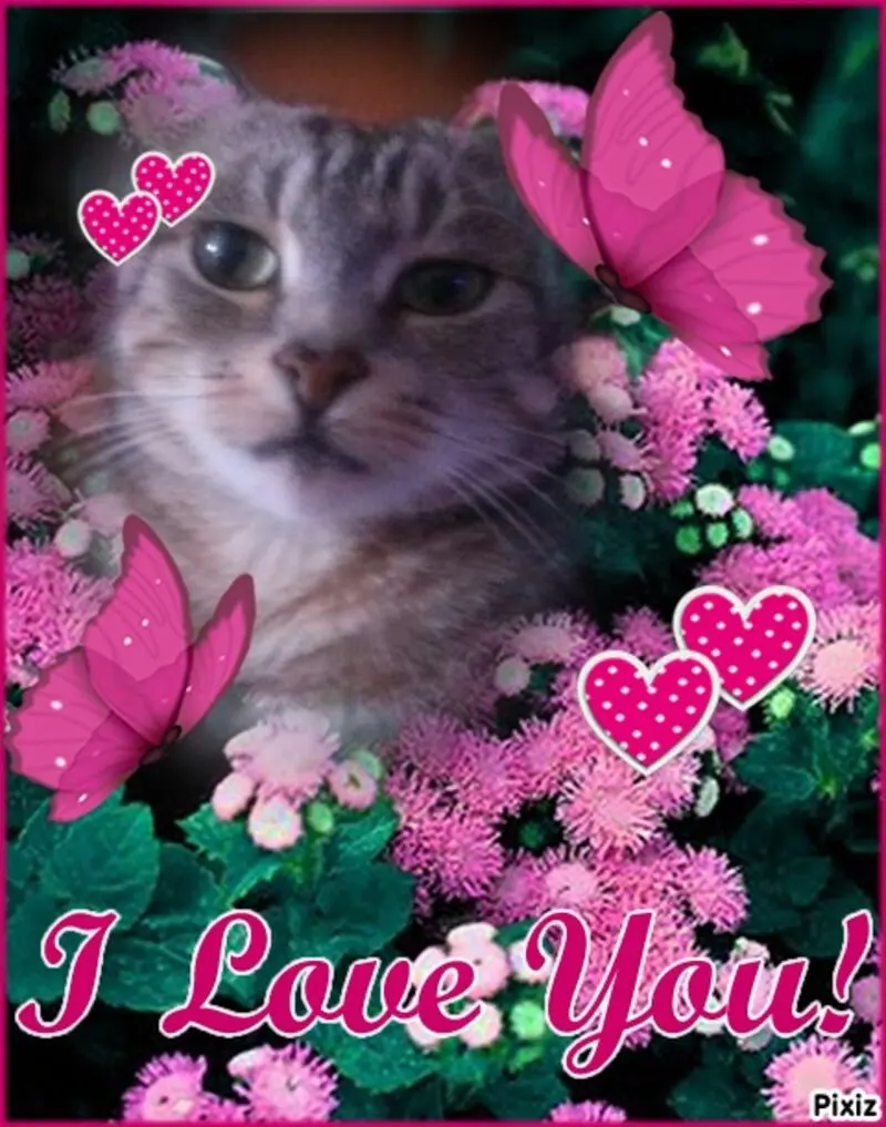 Andachtsbild von Sternchenpost ⭐