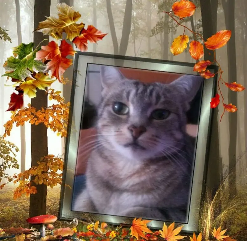 Andachtsbild von Guten Morgen❤️❤️❤️