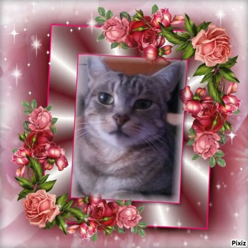 Andachtsbild von Sternchenpost ⭐