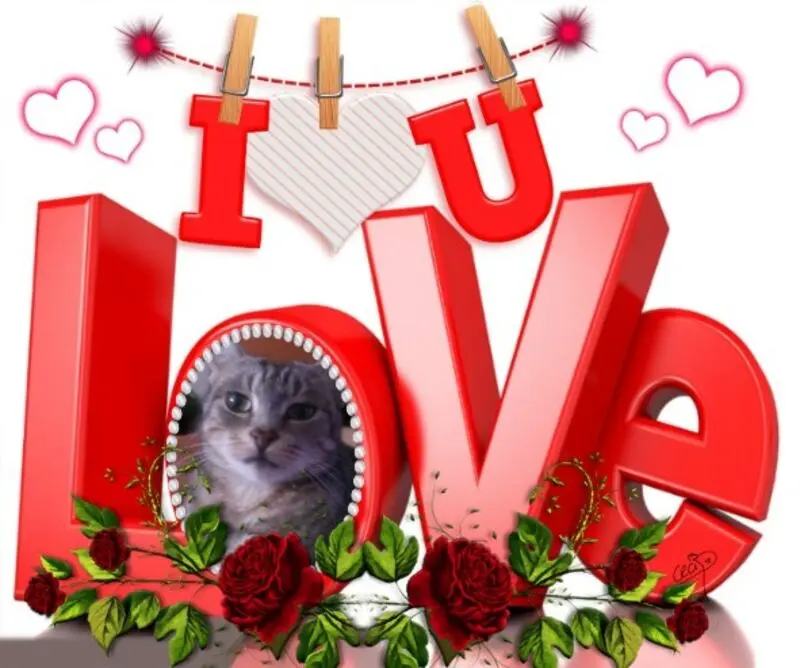 Andachtsbild von 17.Monate❤️❤️❤️❤️❤️❤️❤️❤️❤️❤️❤️❤️❤️❤️❤️❤️❤️