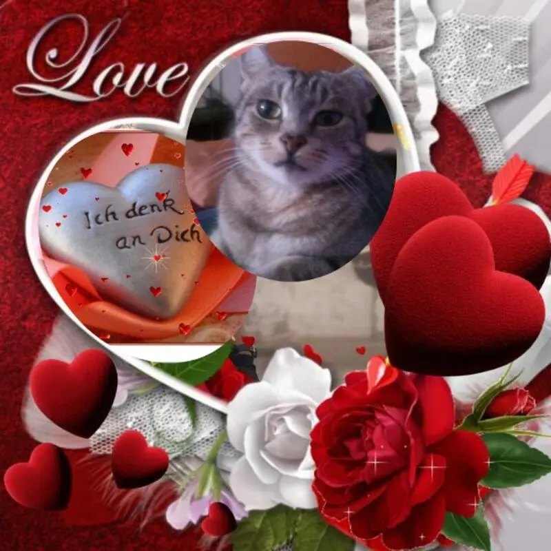 Andachtsbild von ❤️❤️❤️❤️❤️❤️❤️❤️❤️❤️❤️❤️❤️❤️