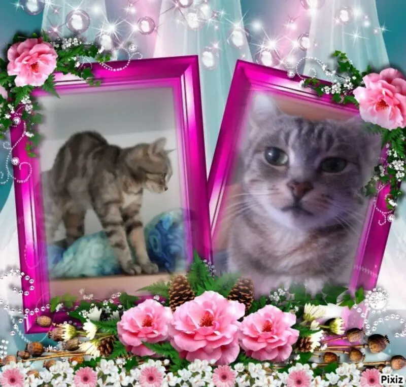 Andachtsbild von Sternchenpost ⭐