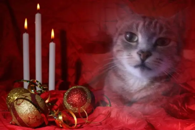 Andachtsbild von Patricia mit Bunny 