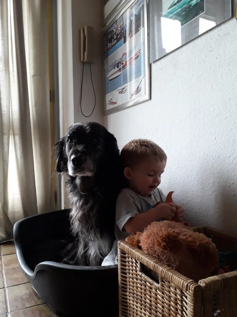 Andachtsbild von Rainer