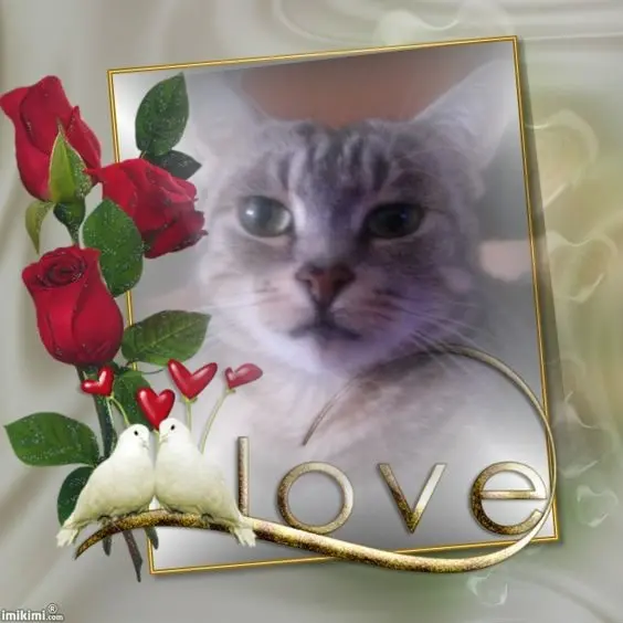 Andachtsbild von Sternchenpost ⭐