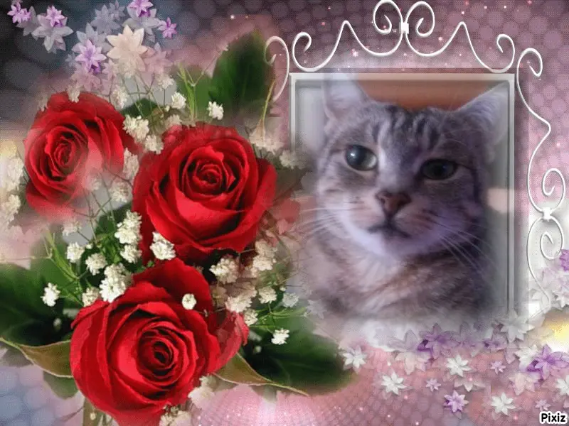 Andachtsbild von Sternchenpost ⭐