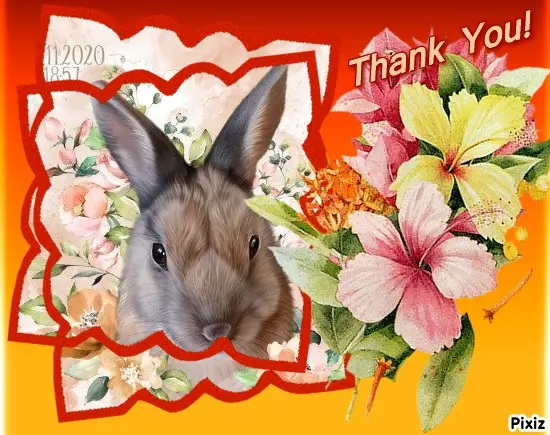 Andachtsbild von Danke ❤