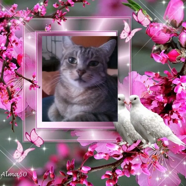 Andachtsbild von Patricia mit Bunny ❤️