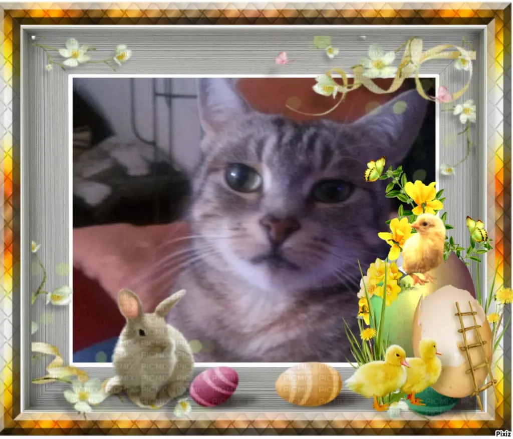 Andachtsbild von Patricia mit Bunny ❤