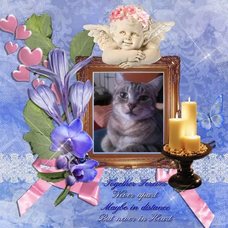 Andachtsbild von Sternchenpost ⭐