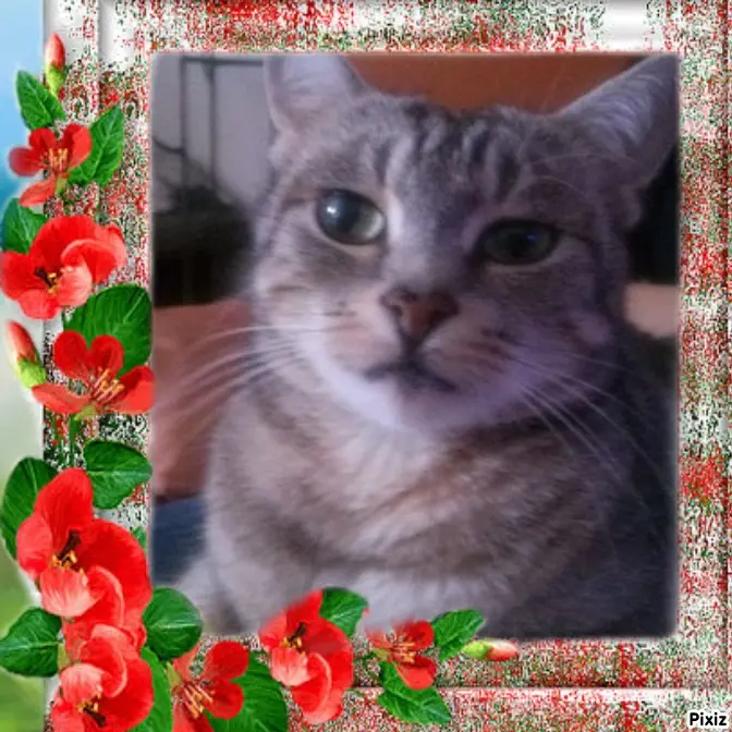 Andachtsbild von Sternchenpost ⭐