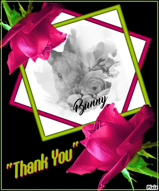 Andachtsbild von Patricia mit Bunny ❤