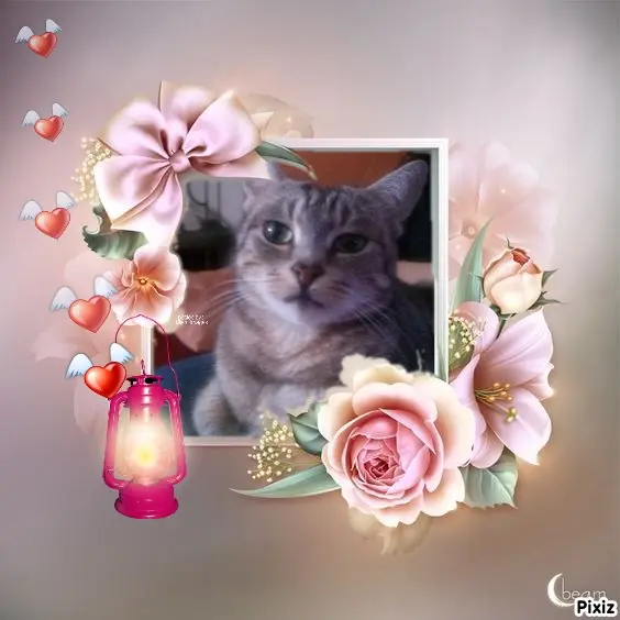 Andachtsbild von Patricia mit Bunny ❤