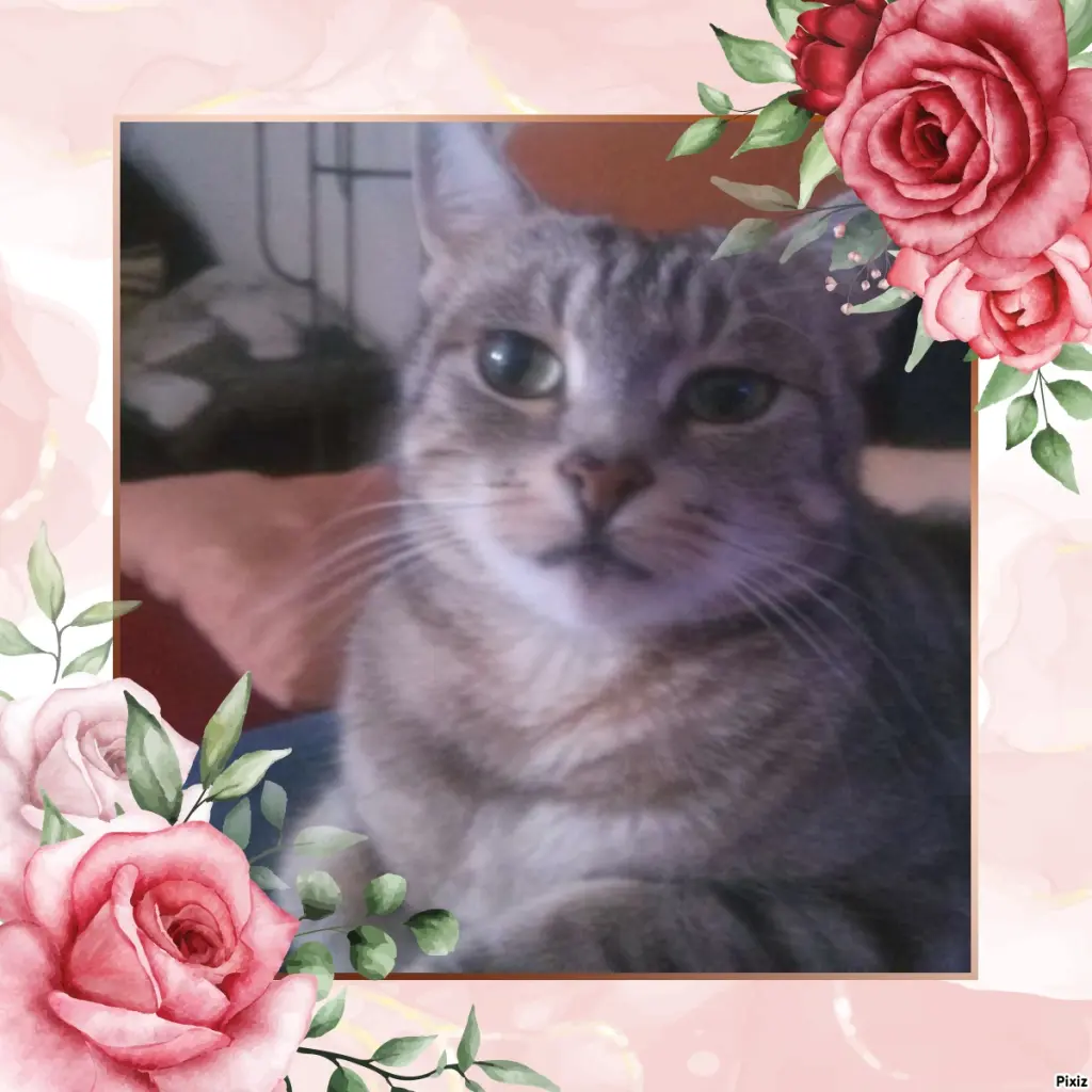 Andachtsbild von Sternchenpost ⭐