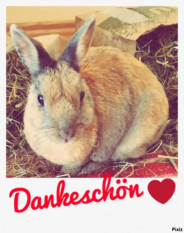 Andachtsbild von Patricia mit Bunny ❤