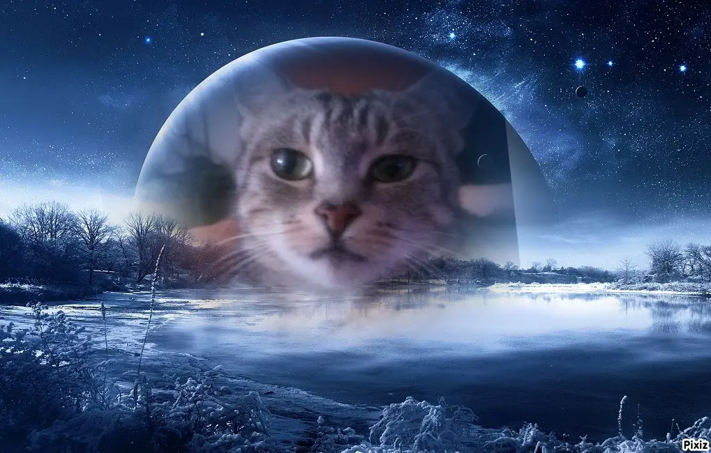 Andachtsbild von Sternchenpost ⭐