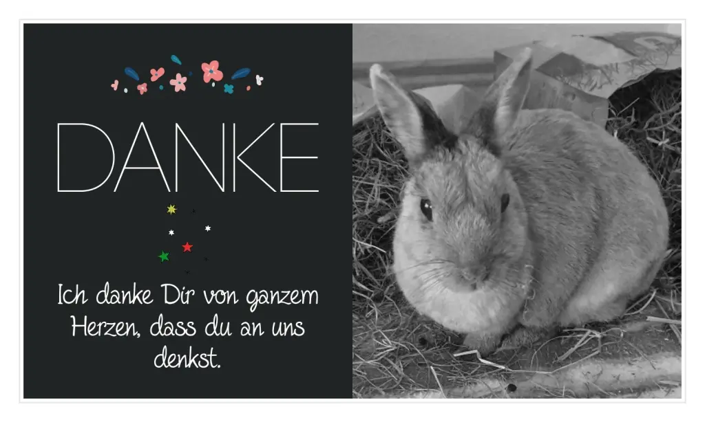 Andachtsbild von Patricia mit Bunny ❤