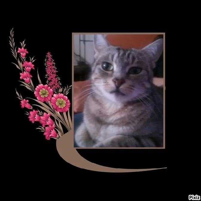 Andachtsbild von Sternchenpost ⭐