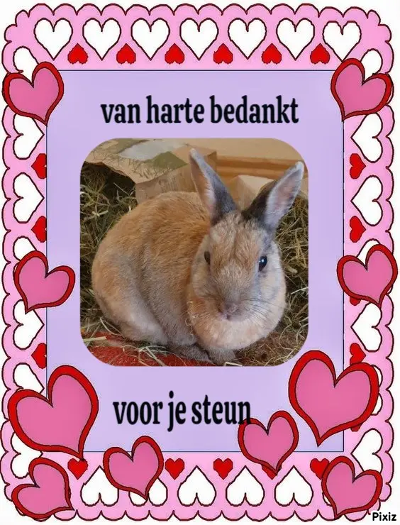 Andachtsbild von Dankeschön ❤️