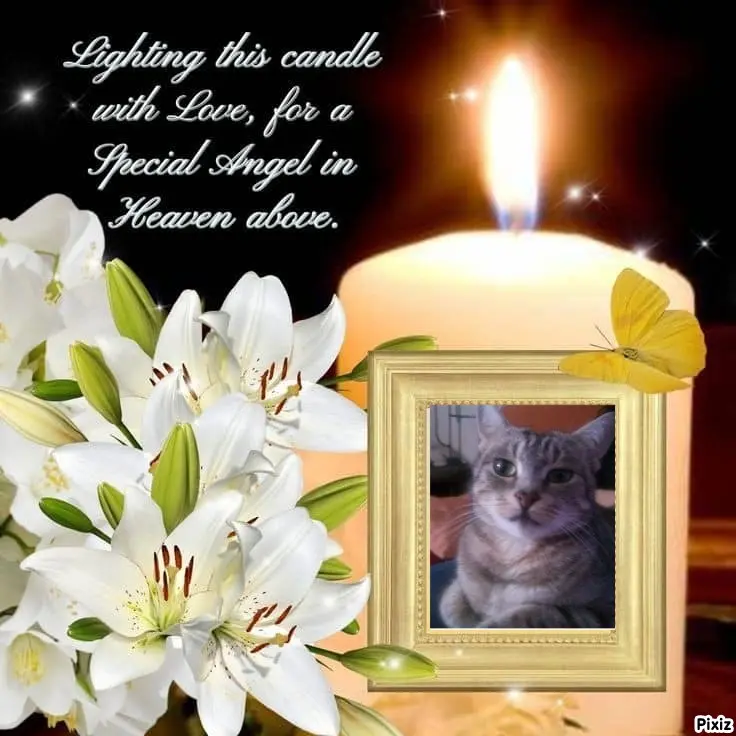 Andachtsbild von Sternchenpost ⭐