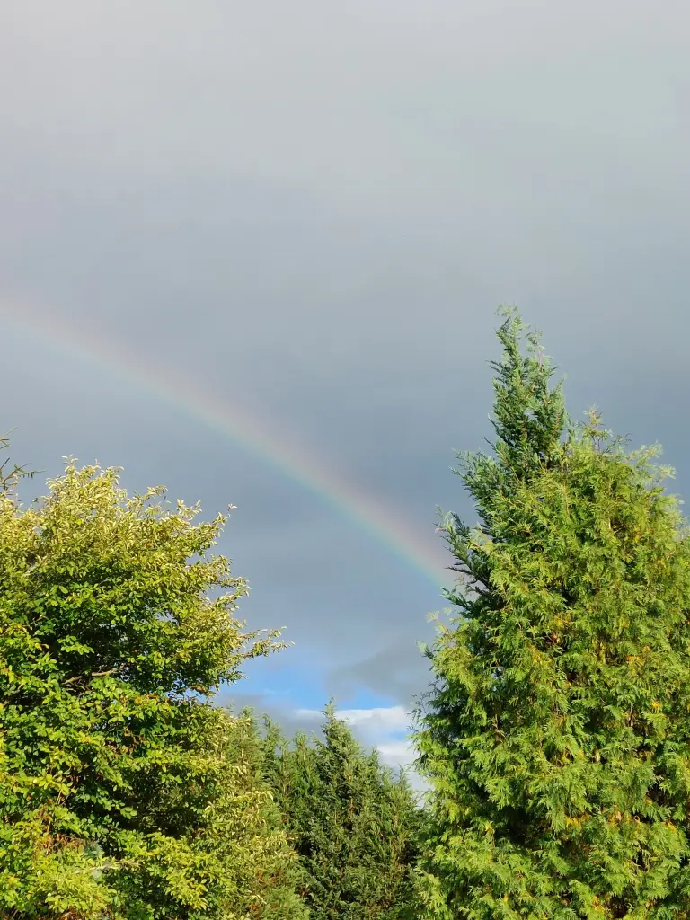 Andachtsbild von Daniela mit Pauline im ♥️