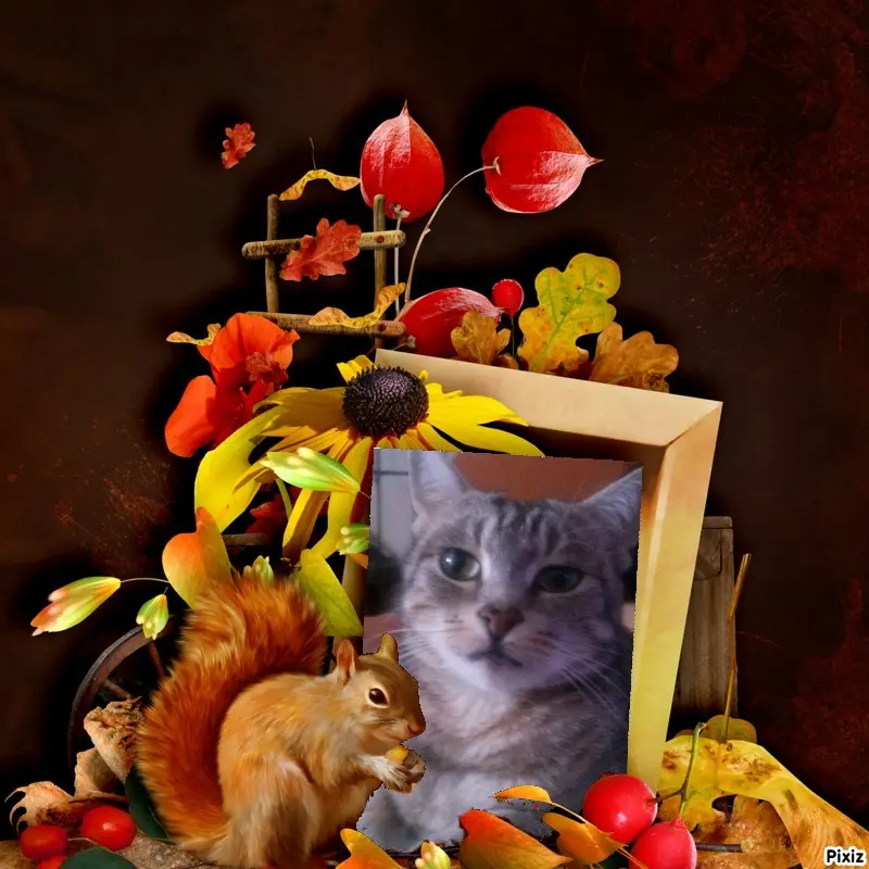 Andachtsbild von Patricia mit Bunny ❤️ 