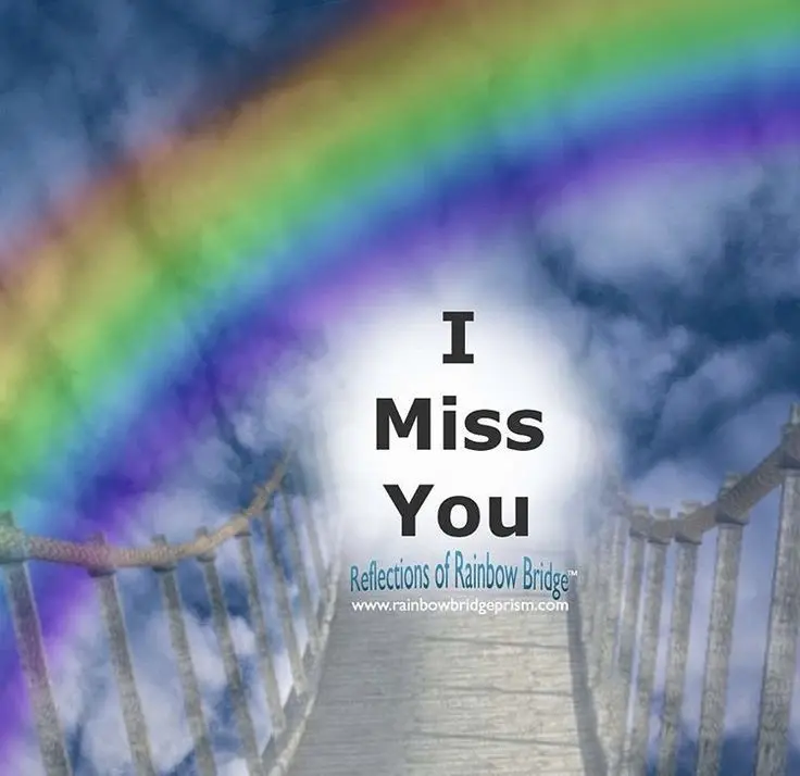 Andachtsbild von In Liebe ❤️❤️❤️