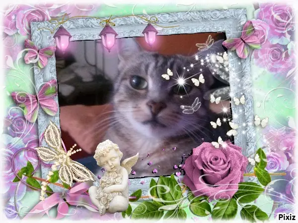 Andachtsbild von Sternchenpost ⭐