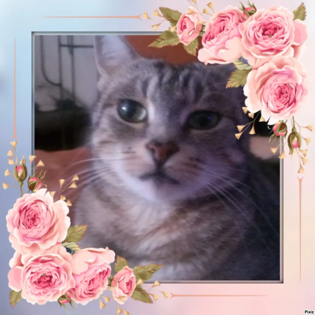 Andachtsbild von Sternchenpost ⭐