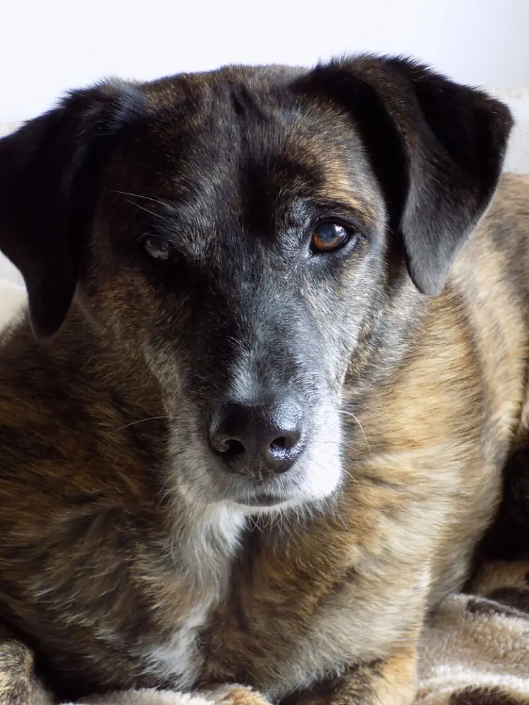 Andachtsbild von Gabi mit Max ❣️