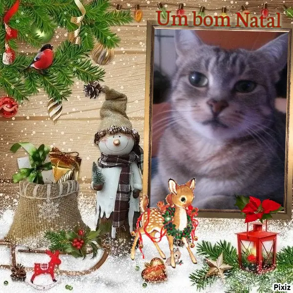 Andachtsbild von Advendsgrüße ❤️