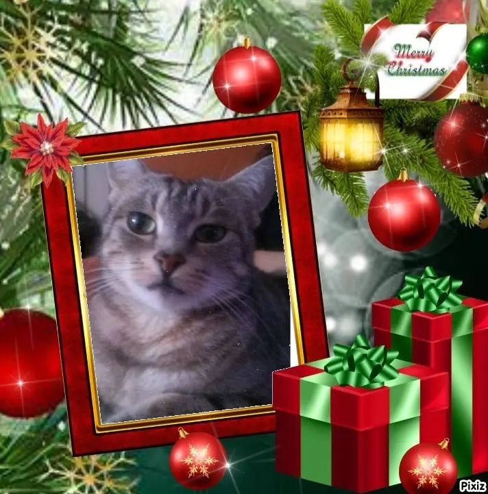 Andachtsbild von Sternchenpost ⭐