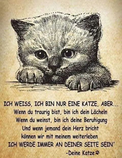 Andachtsbild von Katrin und Katzi im ❤️