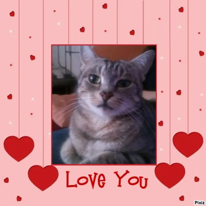 Andachtsbild von Sternchenpost ⭐