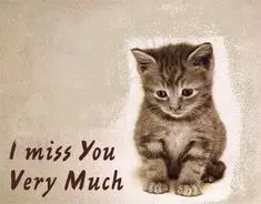 Andachtsbild von In ewiger Liebe ❤️