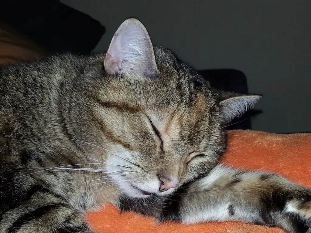 Andachtsbild von Daniela  mit Pauline im ♥️