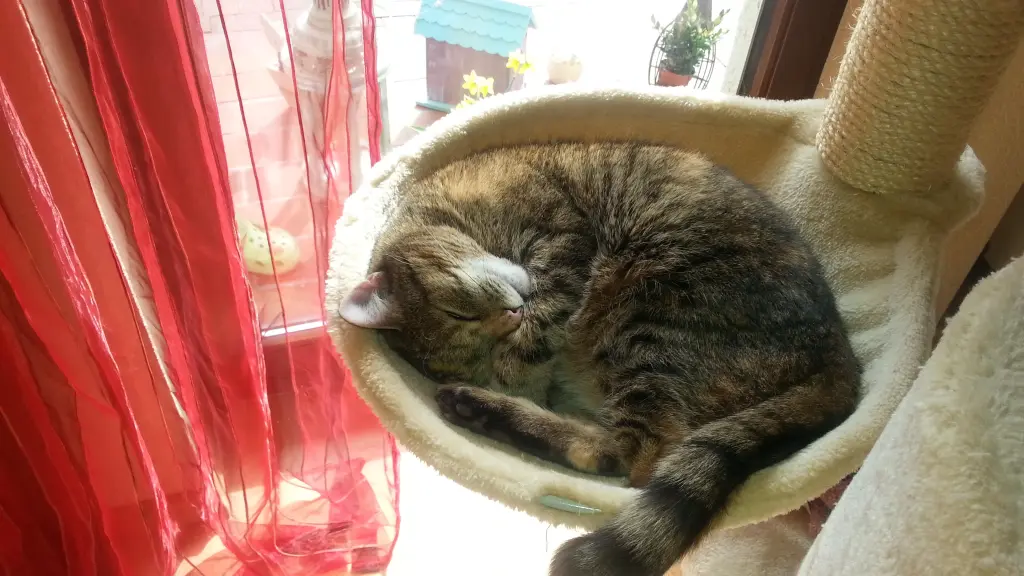 Andachtsbild von Daniela mit Pauline im ♥️