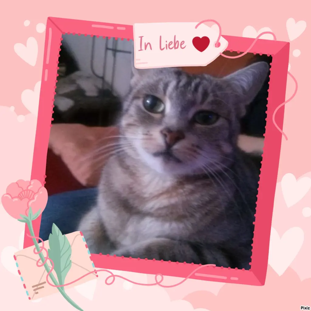 Andachtsbild von Sternchenpost ⭐